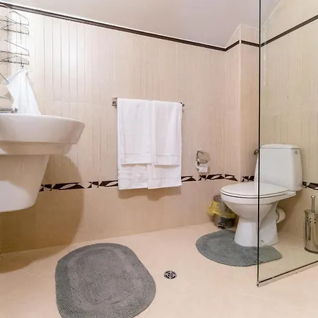 Spacious In The Center Apartment Plovdiv